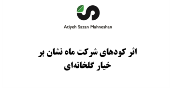 گلخانه خیار، تغذیه شده با کودهای شرکت ماه نشان، استان تهران، ورامین